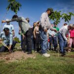 Gobernador Rocha arranca programa de reforestación en Culiacán