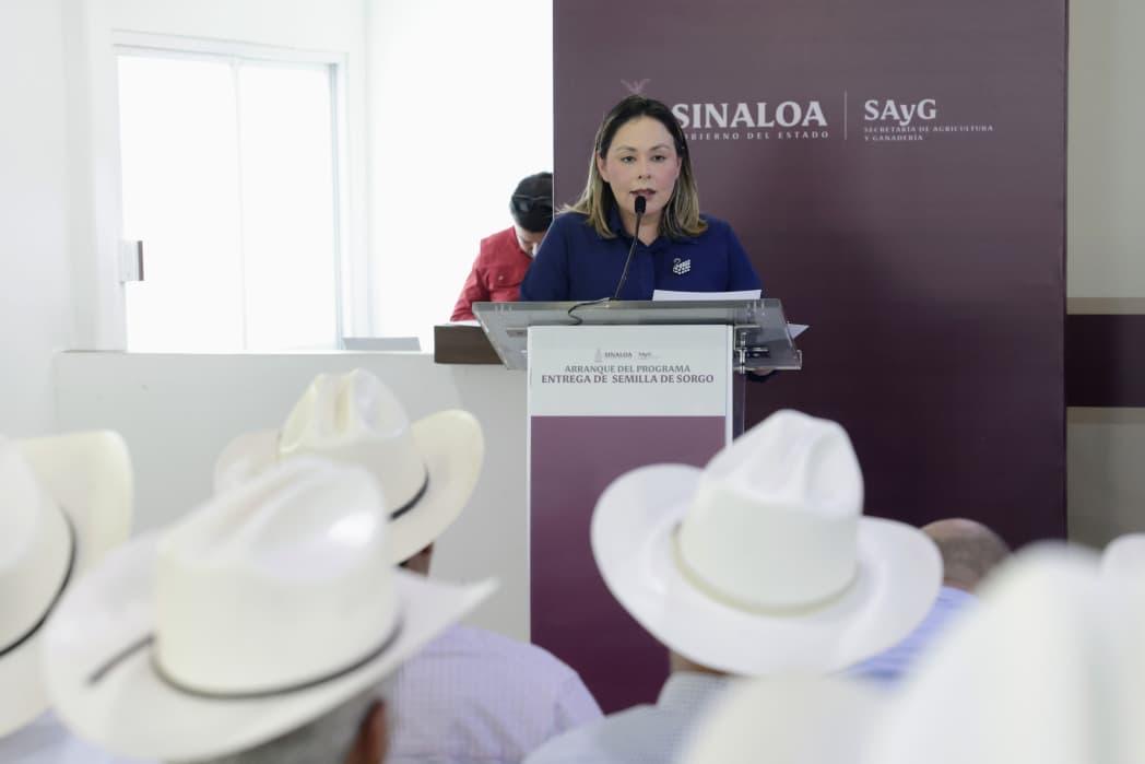 Entrega gobernadora Yeraldine semilla de sorgo a más de 3 mil 800 ganaderos de Sinaloa