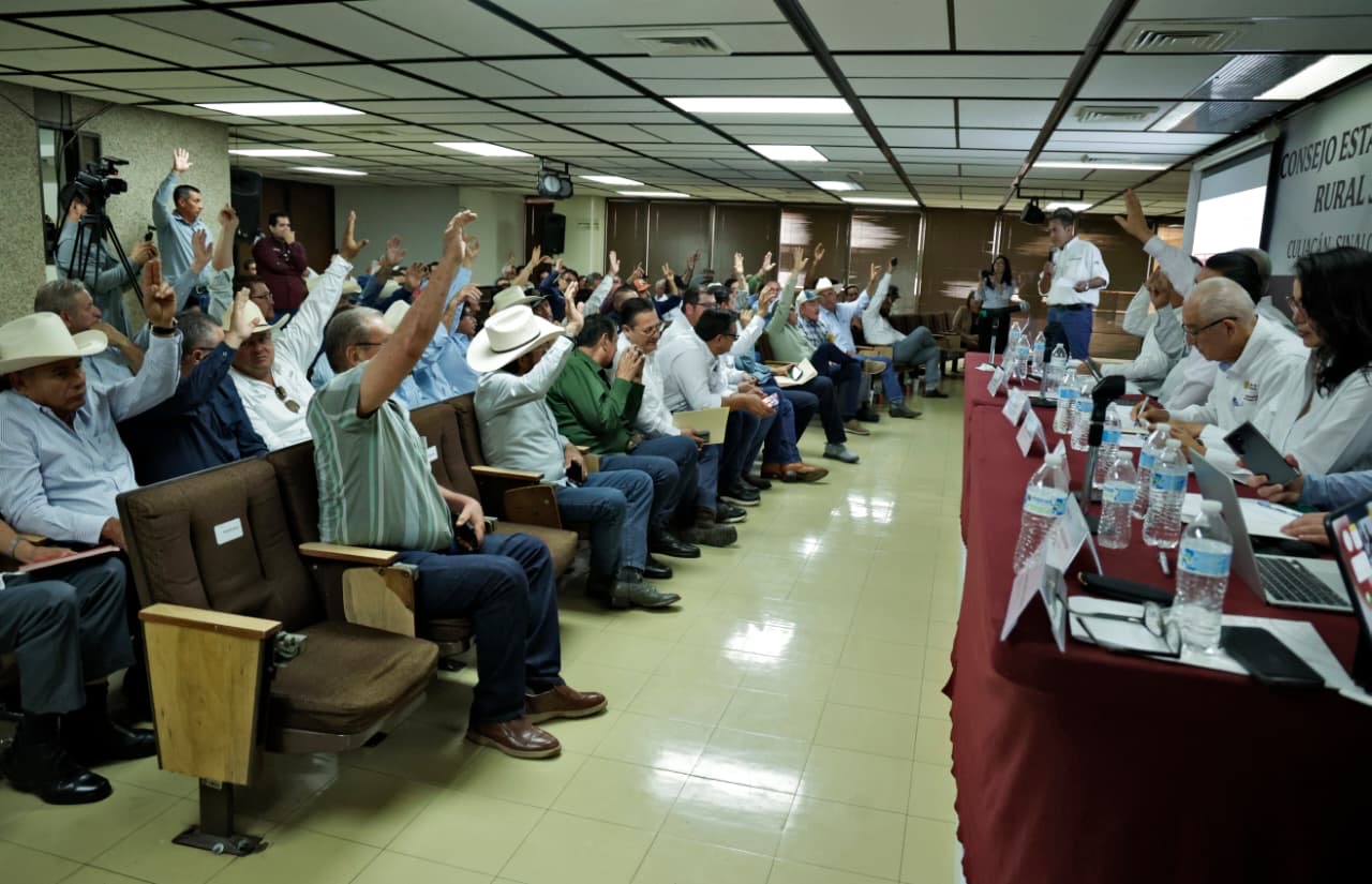 Acuerdan en el Consejo Estatal de Desarrollo Rural Sustentable de Sinaloa un proyecto de siembra para ciclo Otoño-Invierno 2026-2027 de 813 mil 599 has